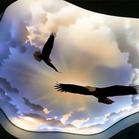 3d натяжные потолки